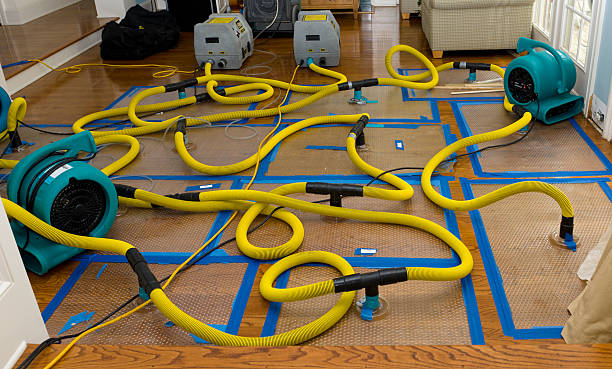 Professional Water Damage Restoration technician working in Steep Falls, ME